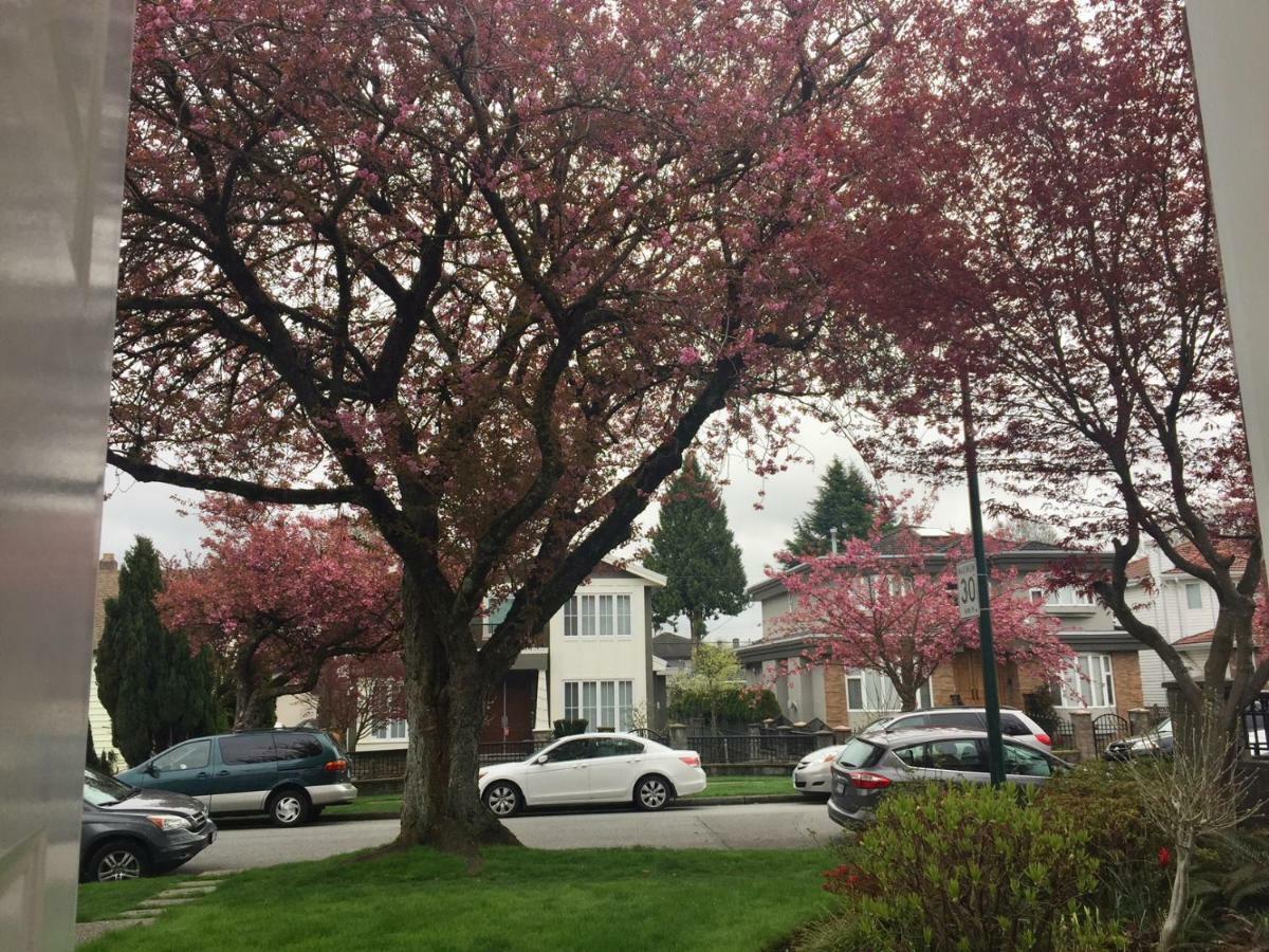 Lee Home Vancouver Eksteriør billede